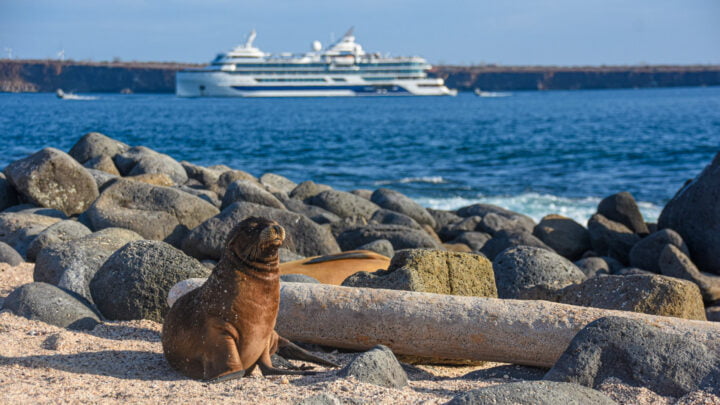 Klasa Galapagos